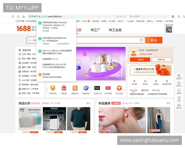 掌握亚星网址的官方入口及常见访问问题的解决技巧